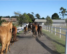 Darkes Forest Riding Ranch - Hotel WA 1
