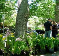 The Stirling Market - Hotel WA