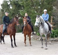 Academy of Dressage - Hotel WA