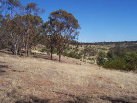 Onkaparinga River National Park - Hotel WA 0