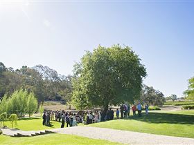 Howard Vineyard - Hotel WA 1