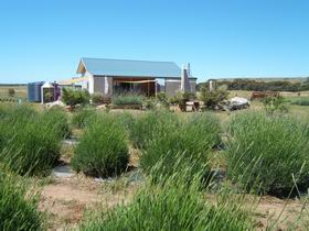 Emu Bay Lavender - Hotel WA 1