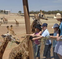 Monarto Open Range Zoo - Hotel WA