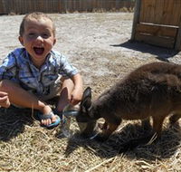 Animal Farm Goolwa - Hotel WA