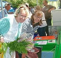 Victor Harbor Farmers Market - Hotel WA