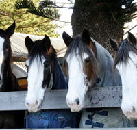 Victor Harbor Horse Drawn Tramway - Hotel WA