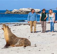 Seal Bay Conservation Park - Hotel WA