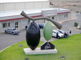 The Big Olive - Hotel WA 0