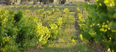 Bell River Estate Winery - Hotel WA 3
