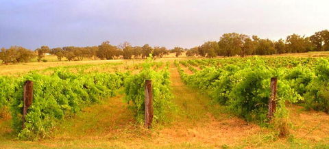 Bell River Estate Winery - Hotel WA 7