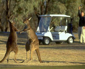 Coomealla Golf Club - Hotel WA 2