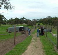 Avenue Emus - Hotel WA