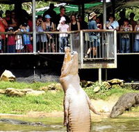 Crocodylus Park - Hotel WA
