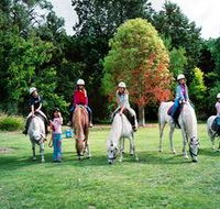 Limestone Coast Horseriding - Hotel WA