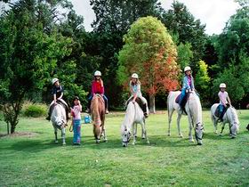 Limestone Coast Horseriding - Hotel WA 0