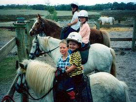 Limestone Coast Horseriding - Hotel WA 1