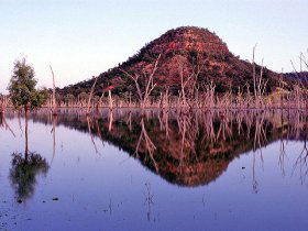Nuga Nuga National Park And Lake Nuga Nuga - Hotel WA 3