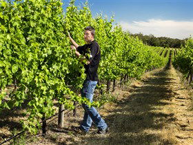 Patrick Of Coonawarra - Hotel WA 0