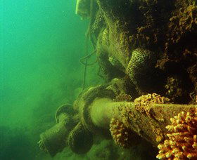 Wreck Diving At Magnetic Island - Hotel WA 0