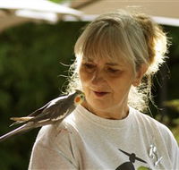 Simply Tomatoes - Hotel WA