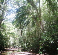 Mount Lewis National Park - Hotel WA