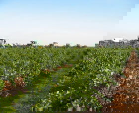 Warburn Estate - Hotel WA 1