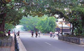 Kuranda - Village In The Rainforest - Hotel WA 1