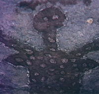 Quinkan Reserves Ancient Rock Art - Hotel WA