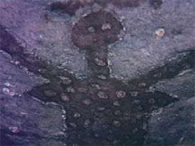 Quinkan Reserves Ancient Rock Art - Hotel WA 0