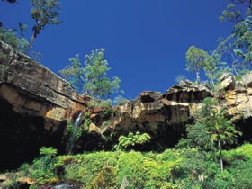 Blackdown Tableland National Park - Hotel WA 1