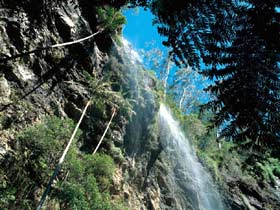 Blackdown Tableland National Park - Hotel WA 2