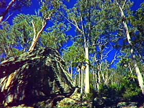 Blackdown Tableland National Park - Hotel WA 3