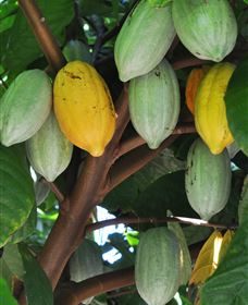 Sweet Farm Tours - Hotel WA 2