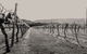 Halls Gap Estate - thumb 0