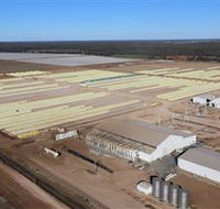 Southern Cotton Gin - Hotel WA
