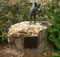 Dingo Statue - Hotel WA