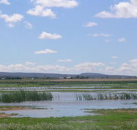 Fivebough Wetlands - Hotel WA