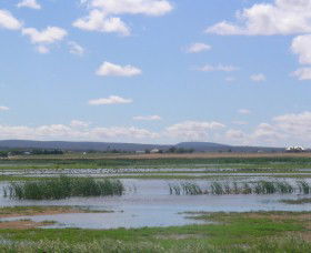 Fivebough Wetlands - Hotel WA 0