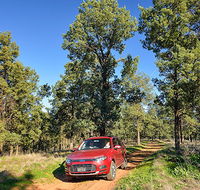 Forest drive - Hotel WA