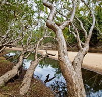 Oyala Thumotang National Park CYPAL - Hotel WA