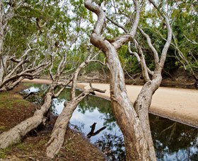 Oyala Thumotang National Park (CYPAL) - Hotel WA 0