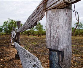 Oyala Thumotang National Park (CYPAL) - Hotel WA 1