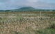 Mount Napier State Park - thumb 0