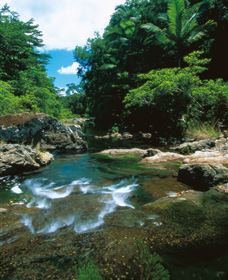 Cedar Creek Falls - Hotel WA 1