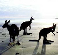 Hibiscus Coast - Hotel WA