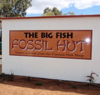 Big Fish Fossil Hut at Peak Hill - Hotel WA
