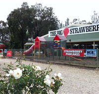 The Big Strawberry - Hotel WA