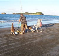 Cape Hillsborough National Park - Hotel WA