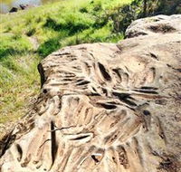 Terramungamine Rock Grooves - Hotel WA