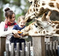 Taronga Western Plains Zoo Dubbo - Hotel WA